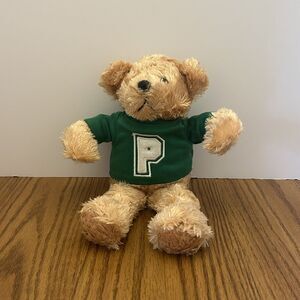 Saks Department Store Proffitt's Plush Green Shirt Teddy Bear 10” Stuffed Toy